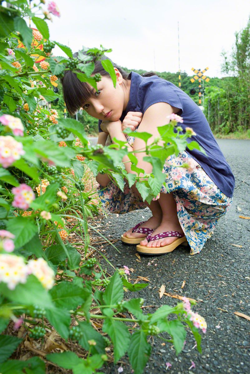 咏松：冬松赞